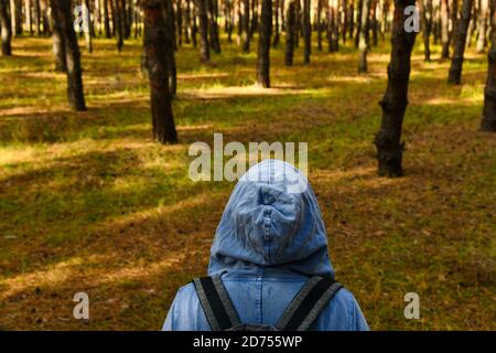 Tourist mit Rucksack und Kapuze im immergrünen Kiefernwald. Reisen, Ökotourismus, Ökologie, lokale Tourismus-Konzept, natürlichen Hintergrund, Explorer, Hoodie Stockfoto