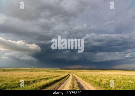 Malerische Landschaft von Montana und unbefestigte Straße durch Grasland in den großen Ebenen mit einem stürmischen Himmel in der Nähe von Ekalaka Stockfoto