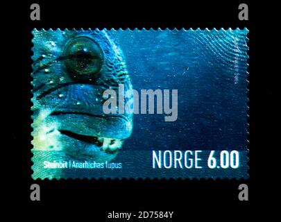 MOSKAU, RUSSLAND - 25. NOVEMBER 2017: Eine in Norwegen gedruckte Briefmarke zeigt Atlantischen Wolfsfisch (Anarhichas lupus), Marine Life Serie, um 2004 Stockfoto