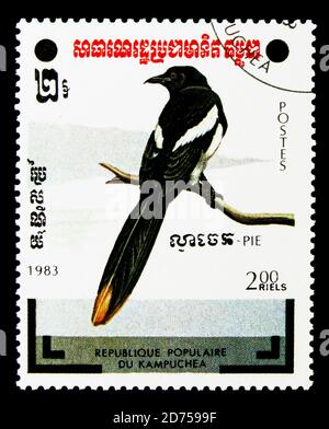 MOSKAU, RUSSLAND - 25. NOVEMBER 2017: Eine in Kambodscha gedruckte Briefmarke zeigt Elster-Würger (Urolestes melanoleucus), Vogelserie, um 1983 Stockfoto