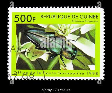 MOSKAU, RUSSLAND - 25. NOVEMBER 2017: Eine in Guinea gedruckte Marke zeigt Metallic Wood Boring Beetle (Anthaxia hungarica), Insektenserie, um 1998 Stockfoto