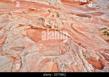 White Pocket Rock Formationen im Vermilion Cliffs National Monument in Arizona, USA Stockfoto