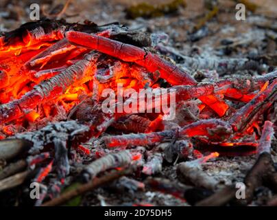 Heiße Kohlen schließen sich in einem sterbenden Feuer Stockfoto