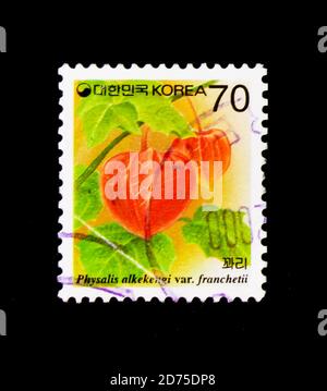 MOSKAU, RUSSLAND - 2. JANUAR 2018: Eine in Südkorea gedruckte Briefmarke zeigt Physalis alkekengi, Flora Serie, um 1995 Stockfoto