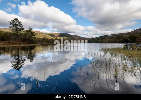 Loch Trool, Galloway Forest Park an einem hellen Herbsttag. Ein Blick vom Loch Trool Loop Trail. Stockfoto