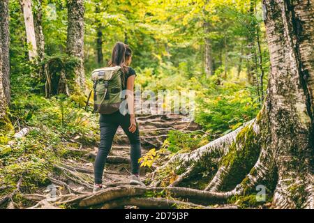 Wald Wanderung Wanderweg Wanderer Frau Wandern im Herbst Natur Hintergrund im Herbst. Wandern aktive Menschen Lifestyle tragen Rucksack Training Stockfoto