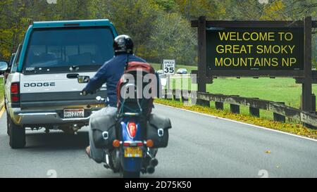 Der Verkehr verlangsamt sich, wenn Autofahrer den Great Smoky Mountains National Park betreten, wo eine Elchherde im Cataloochee Valley in Cherokee, NC, weidet. (USA) Stockfoto