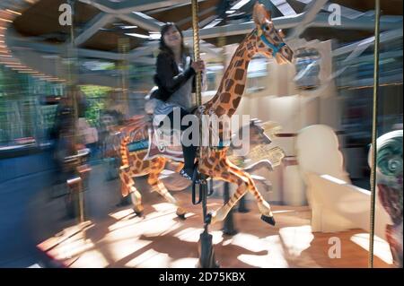 Ein junges asiatisches Mädchen, das auf einem Karussell auf einer Giraffe reitet oder fröhlich in Butchart Gardens Victoria, British Columbia, Kanada, unterwegs ist Stockfoto