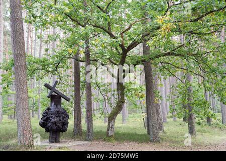 Baum sah aus wie ein erschossen Mann in der Nähe eines von mindestens 30 Massengräbern von 12.000 bis 14.000 polnischen Intellektuellen (nationale Aktivisten, Lehrer, Priester) aus Stockfoto