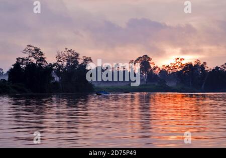 Kinabatangan River, Sabah, Ostmalaysien. Der Kinabatangan ist Sabahs längster Fluss, 560 km. Monsoon Regen schaffen eine riesige Aue, die Heimat einer ist Stockfoto