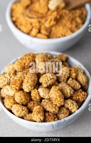 Maulbeerfrucht Pulver. Eine Schüssel mit getrocknetem Maulbeerpulver und getrockneten Maulbeerfrüchten. Stockfoto