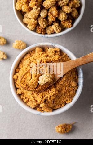 Maulbeerfrucht Pulver. Eine Schüssel mit getrocknetem Maulbeerpulver und getrockneten Maulbeerfrüchten. Stockfoto