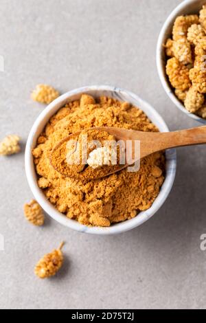 Maulbeerfrucht Pulver. Eine Schüssel mit getrocknetem Maulbeerpulver und getrockneten Maulbeerfrüchten. Stockfoto