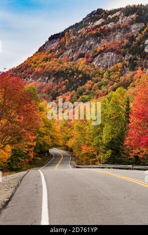 Tolle Herbstlaub bunte Bäume und landschaftlich schönen Weg Stockfoto