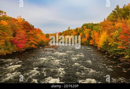 Tolle Herbstlaub bunte Bäume und landschaftlich schönen Weg Stockfoto