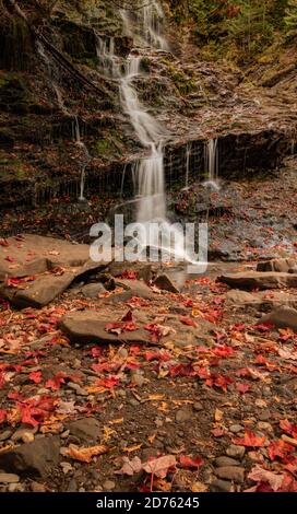 Tolle Herbstlaub bunte Bäume und landschaftlich schönen Weg Stockfoto