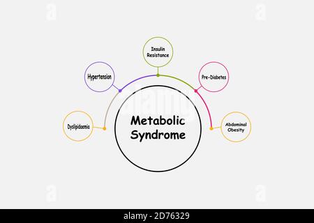 Diagramm des metabolischen Syndroms mit Schlüsselwörtern. EPS 10 Stock Vektor