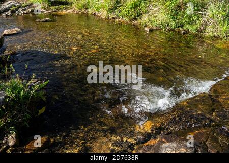 Ein kleiner Strom von kristallklarem Wasser fließt zwischen den Felsformationen und grüne Vegetation von Mato Limpo Wasserfall. Kaskade in Cunha, Sao Paulo Stockfoto