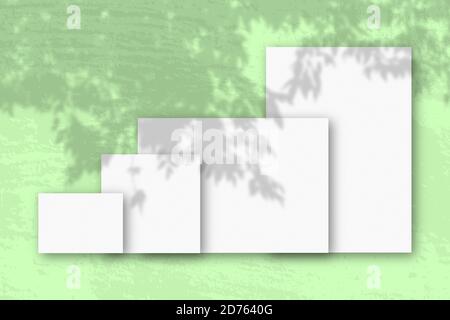 Mehrere horizontale und vertikale Blätter aus weißem strukturiertem Papier vor einem grünen Wandhintergrund. Mockup mit einer Überlagerung von Pflanzenschatten. Tageslicht Stockfoto