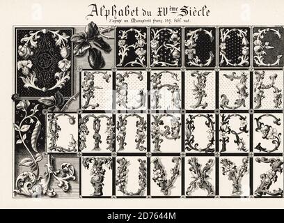 Alphabet der illuminierten Anfangsbuchstaben mit Blumen und Laub aus königlichen Liedern zu Ehren der Jungfrau von Puy d’Amiens verziert. Chants royaux en l'honneur de la Vierge au Puy d'Amiens, 16. Jahrhundert, Alphabet du XVeme Siecle d’apres un manuscrit francais 145, Bibl. Nat. Chromolithographie von Ernst Guillot aus seiner Ornementation des Manuscrits au Moyen-Age, Paris, 1897. Stockfoto