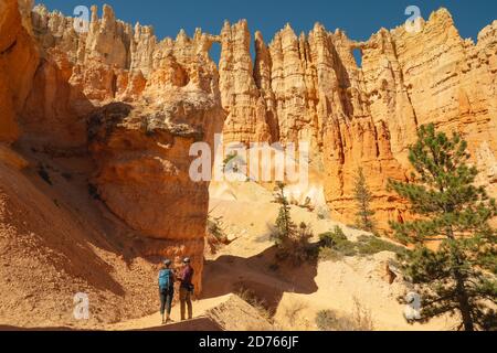 Bryce Canyon, Utah/USA - 13. Oktober 2020 Bryce Canyon National Park. Wunderschöne Mauer der Fenster, Peekaboo Loop Trail im Bryce Canyon National Park. Stockfoto