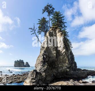 Das Meer liegt am 2nd Beach, Olympic Coast National Marine Sanctuary / National Park, Washington, USA. Stockfoto