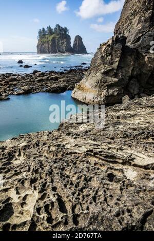 Seastacks von 2nd Beach, Olympic Coast National Marine Sanctuary / National Park, Washington, USA. Stockfoto