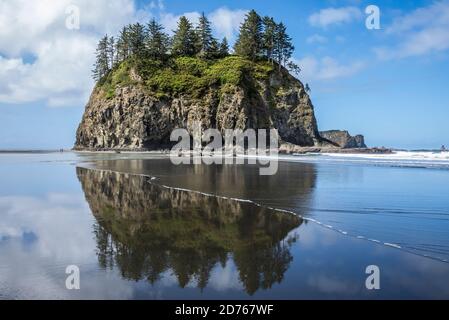 Seastacks von 2nd Beach, Olympic Coast National Marine Sanctuary / National Park, Washington, USA. Stockfoto