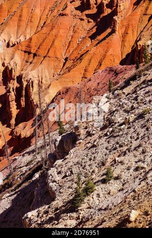 Detail, Zinnen und Hoodoos aus rotem Navajo-Sandstein in den Schluchten des Cedar Breaks National Monument, Utah Stockfoto