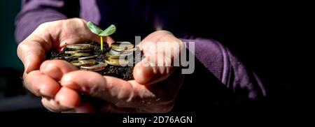 Junge sprießen aus einem Haufen Münzen. Konzept für Investments.Plant wächst aus Geld, Münzen.Sparen Geld für wachsende Unternehmen und Zukunftskonzept. Internet Stockfoto