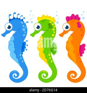 Niedliche Pferdefische im Meer. Bunte Seepferdchen auf weißem Hintergrund. Stockfoto