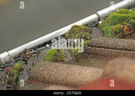 Verschmutzte Tropfschiene mit Moos und Wasser Stockfoto