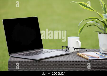 Arbeitsplatz mit Laptop, Notebook, Tasse, Brille und Blume auf grünem Hintergrund. Freiberufler Arbeitsplatz. Platz kopieren Stockfoto
