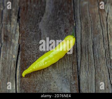 Verschiedene frische und feurige Chilischoten Stockfoto