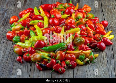 Verschiedene frische und feurige Chilischoten Stockfoto