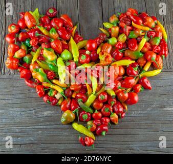 Verschiedene frische und feurige Chilischoten Stockfoto