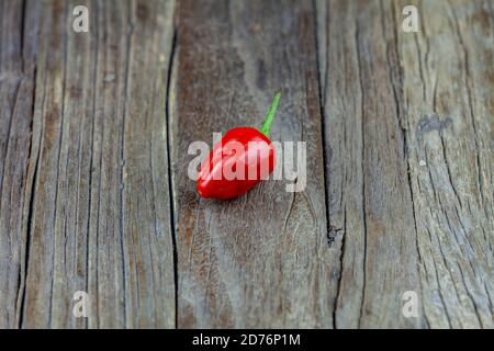 Verschiedene frische und feurige Chilischoten Stockfoto