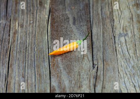 Verschiedene frische und feurige Chilischoten Stockfoto