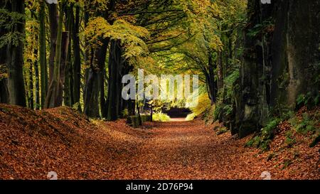 Der High Peak Trail, Matlock, Derbyshire Peak District. Stockfoto