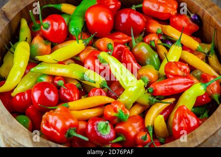 Verschiedene frische und feurige Chilischoten Stockfoto