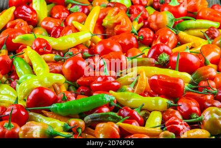 Verschiedene frische und feurige Chilischoten Stockfoto