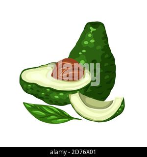 Illustration von Cartoon Avocados. Verschiedene Elemente von Avocado Scheiben mit Gruben und Blättern. Keto-Diät. Zutaten für Guacomole. Vektorelement für mich Stock Vektor