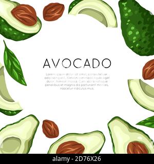 Quadratische Karte mit Avocado und Platz für Text. Gesunde Keto-Diät. Vegetarisches Banner. Vektor-Vorlage für Grußkarten, Menü, Rezepte und Ihr Design. Stock Vektor
