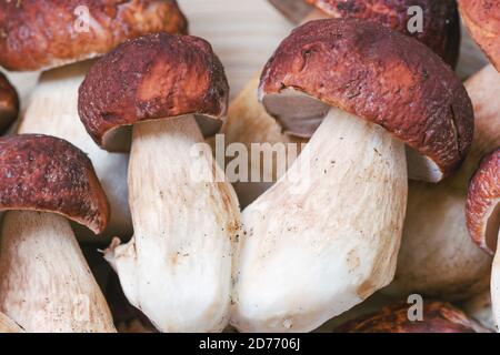Frisch gepflückte Steinpilze auf einer Holzplatte. Pilze Hintergrund. Stockfoto
