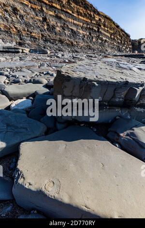 Ein versteinerte Ammonit im Felsen mit den geschichteten Klippen im Hintergrund in Kimmeridge Bay an der Jurassic Coast, Dorset, England Stockfoto