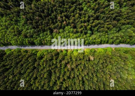 Draufsicht wtih schöne grüne Landschaft lange Straße Weg von Kiefern Stockfoto