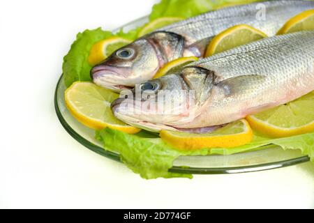 Zwei frische Fische in einer Glasschale auf einer Gemüsebasis. Dicentrarchus labrax Stockfoto