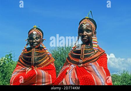 Junge Frauen des Stammes der Samburu. Die Samburu sind ein nilotisches Volk aus Nord-Zentral-Kenia. Samburu sind semi-nomadische Pastoralisten, die hauptsächlich Cattl herden Stockfoto