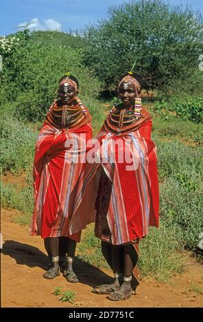 Junge Frauen des Stammes der Samburu. Die Samburu sind ein nilotisches Volk aus Nord-Zentral-Kenia. Samburu sind semi-nomadische Pastoralisten, die hauptsächlich Cattl herden Stockfoto