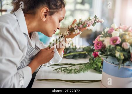 Professioneller Blumenfachmann, der das Aroma von weißen Beeren genießt Stockfoto